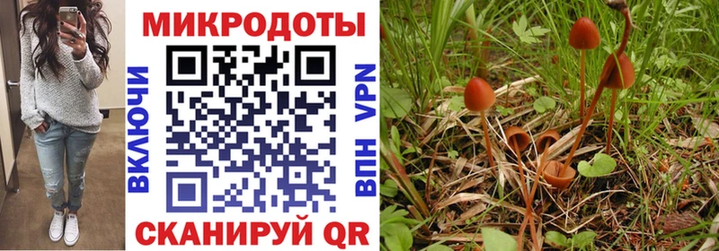 кракен зеркало  Темрюк  Галлюциногенные грибы GOLDEN TEACHER  купить наркоту 