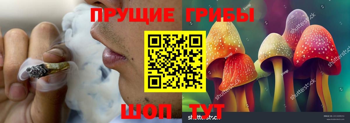 Галлюциногенные грибы Psilocybe  Вход с VPN  Псилоцибиновые грибы мухоморы  купить  цена  Темрюк 